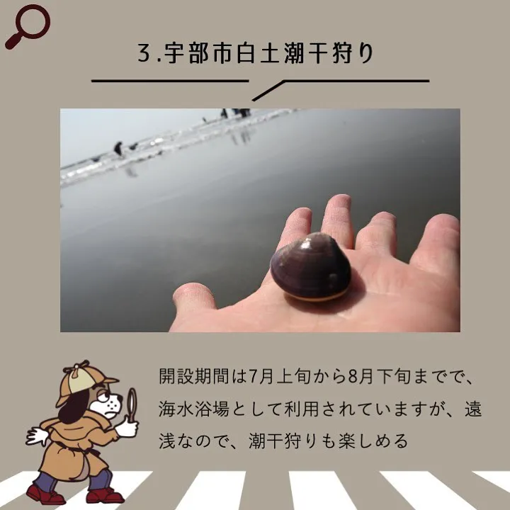 宇部市や山陽小野田市で不動産売却をお考えなら｜株式会社ミスタ...
