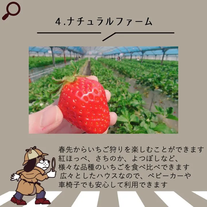 宇部市や山陽小野田市で不動産売却をお考えなら｜株式会社ミスタ...