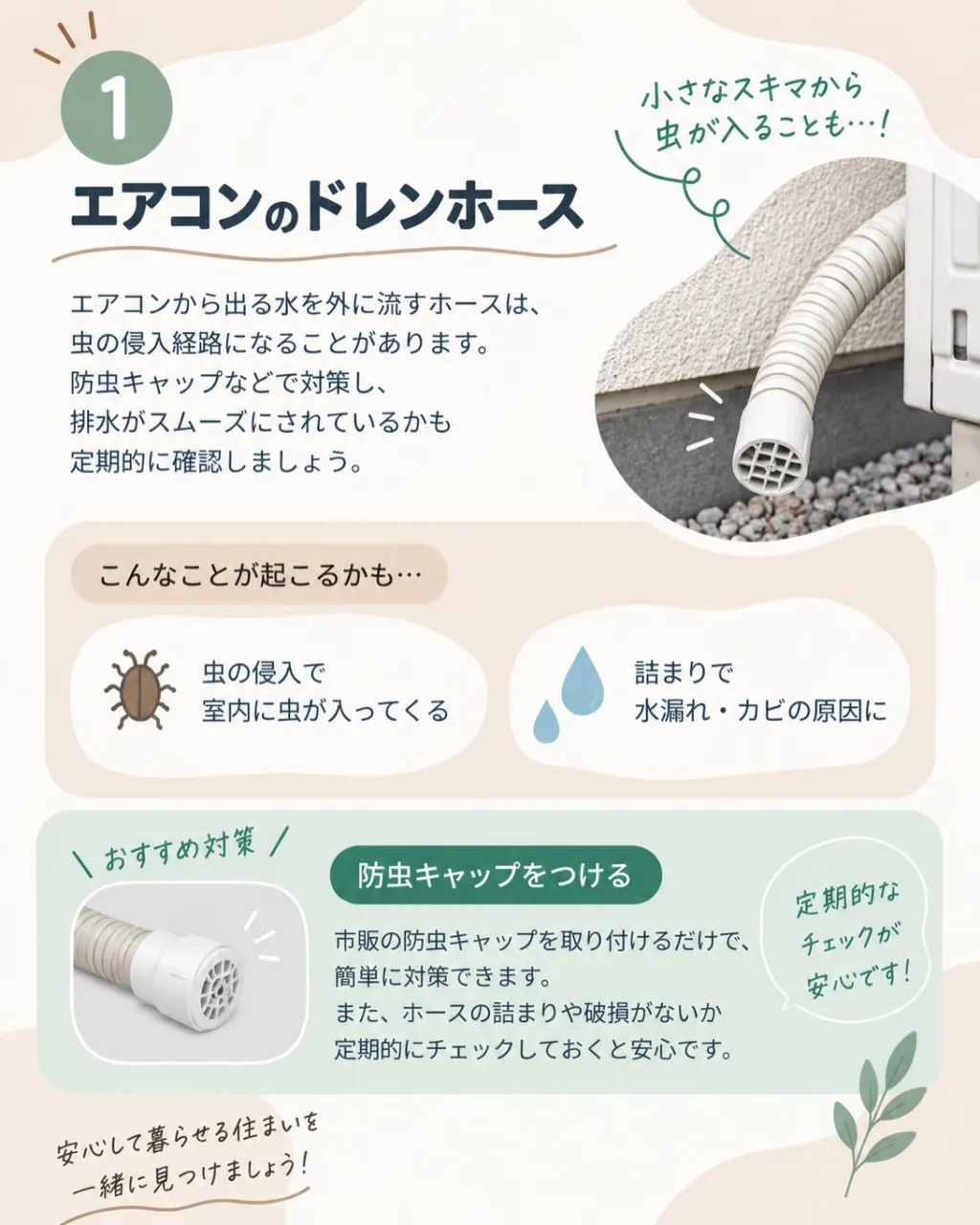 🏠🍂 秋の害虫対策、できていますか?